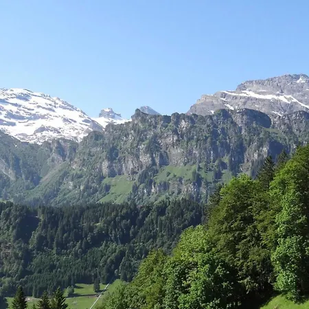 Apartman Zugstrasse 2- 206 By Interhome Engelberg
